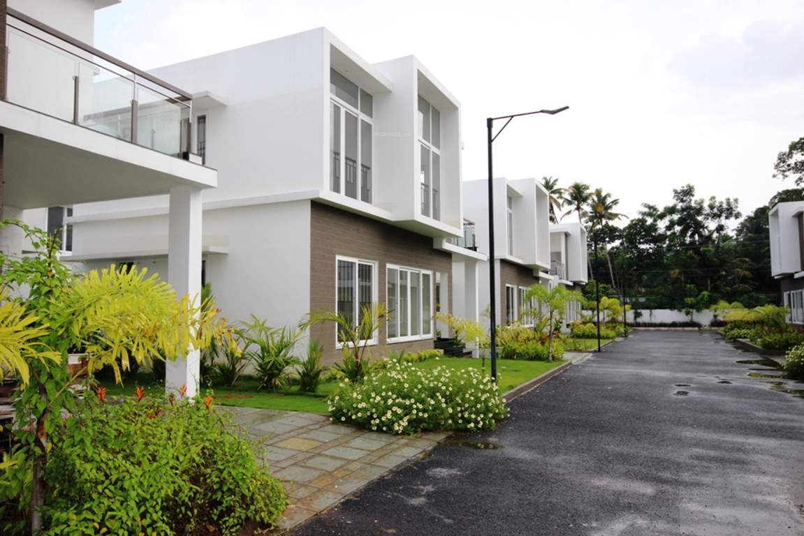 veneziano Images for Elevation of Asten Veneziano