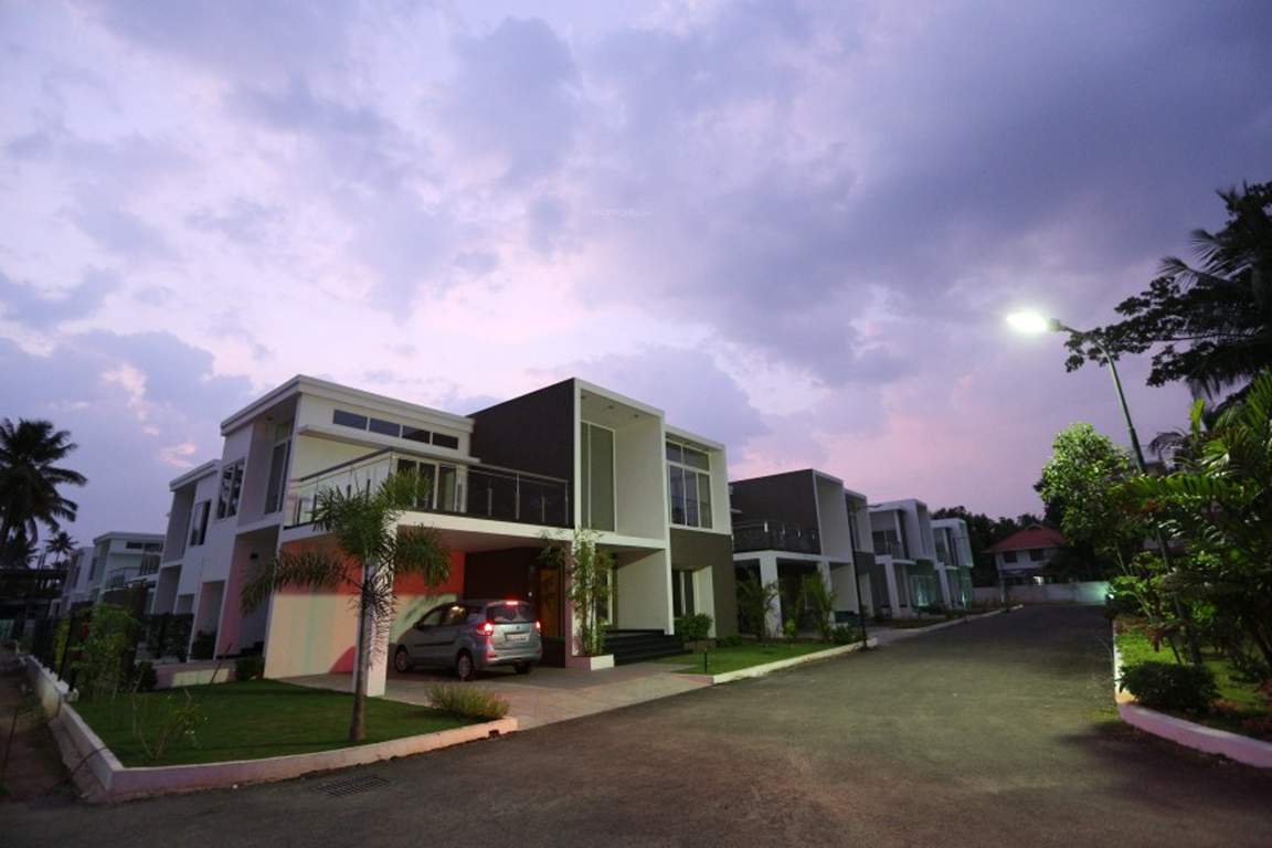 veneziano Images for Elevation of Asten Veneziano