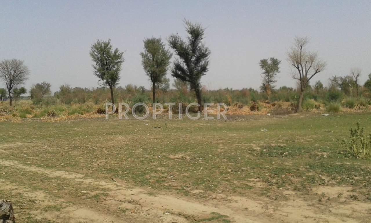 Images for Main Other of Shree Ram Shubh Aangan