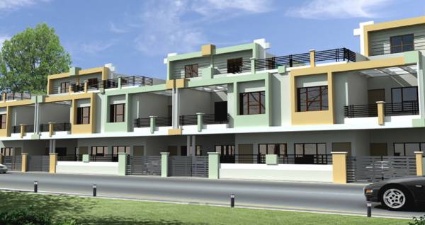  flower-city Elevation