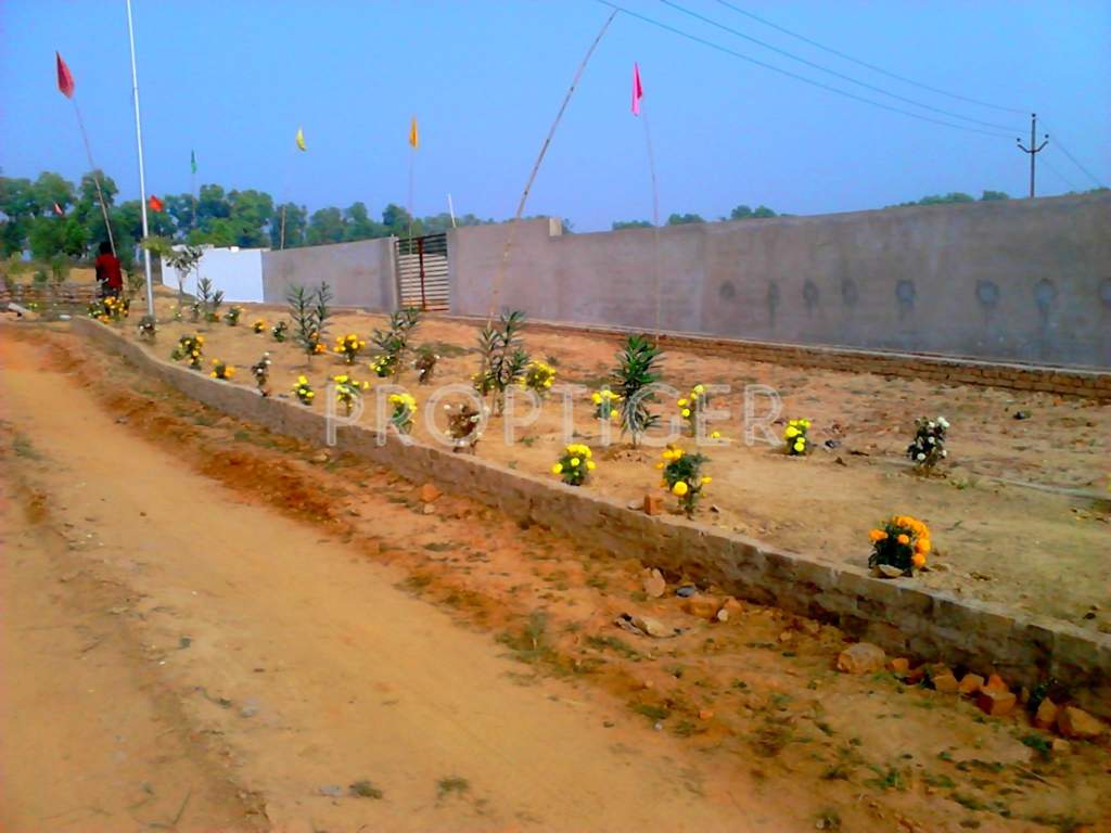 melody realtors pvt ltd hill view farms Main Other