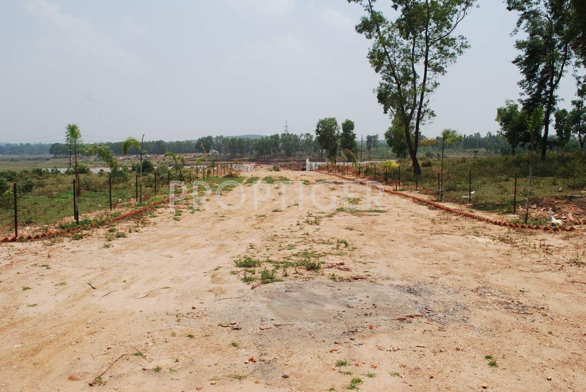 melody realtors pvt ltd hill view farms Main Other