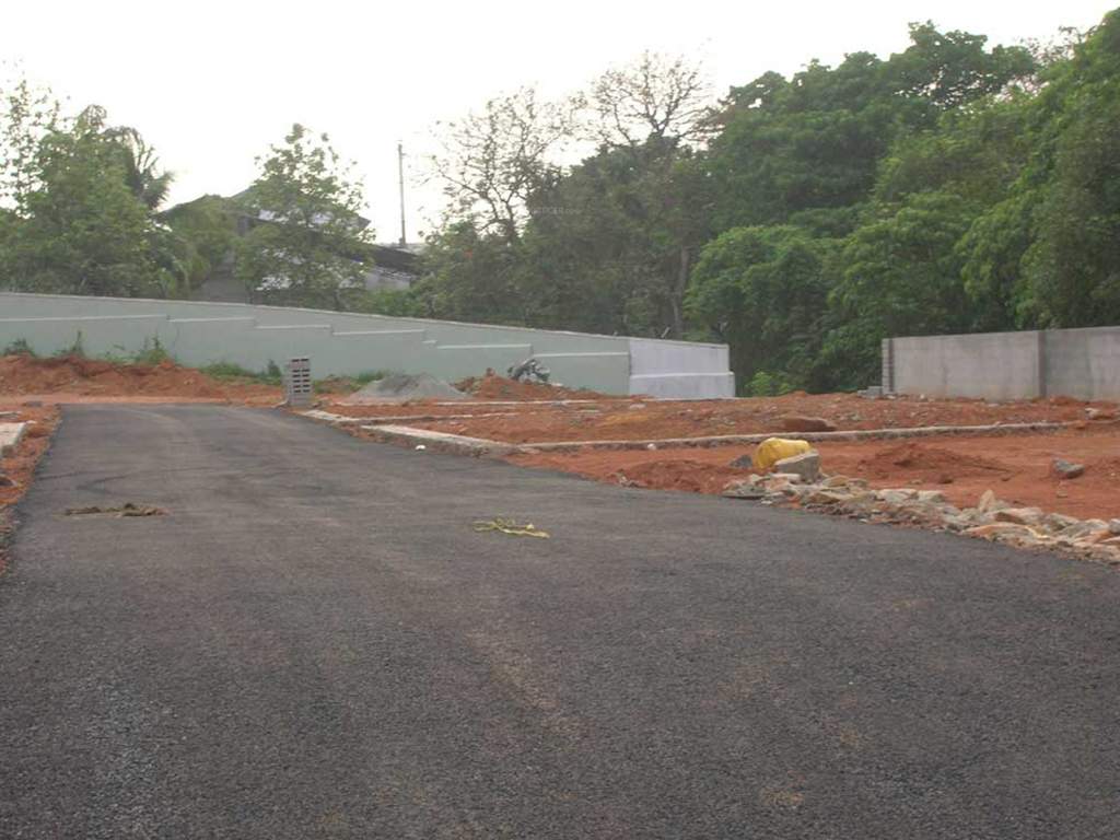  bloomingdale Main Other