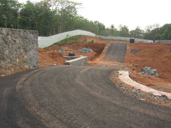  bloomingdale Main Other