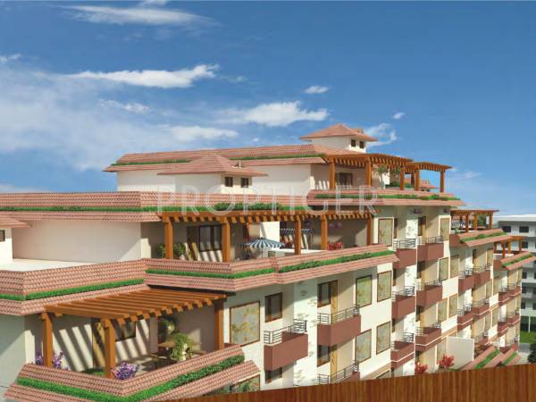 Images for Elevation of SDC Swadesh Developers and Colonizers Orchard Square