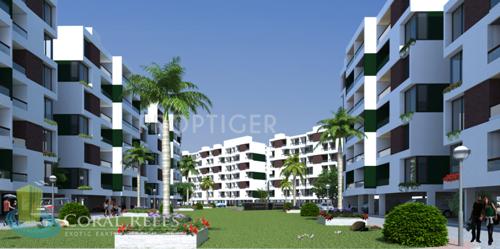  coral-reefs Images for Elevation of Coral Reefs Coral Reefs