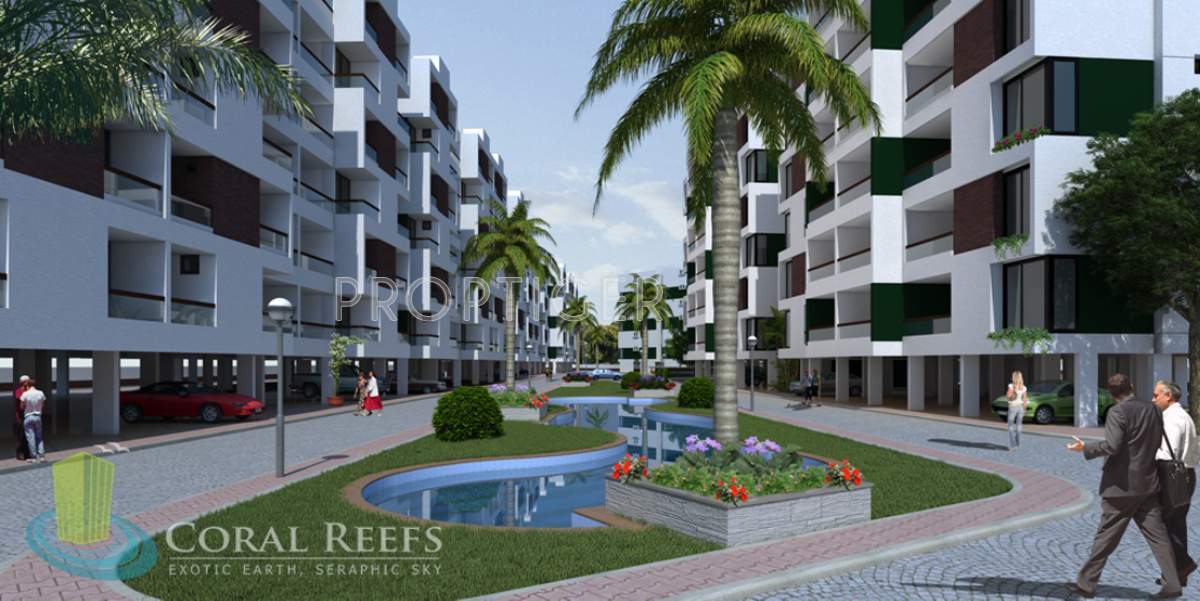 coral reefs Images for Elevation of Coral Reefs Coral Reefs