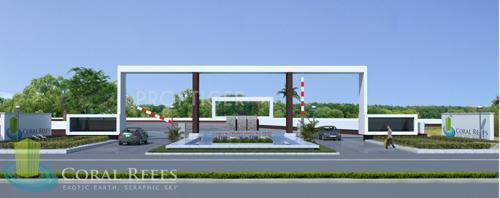  coral-reefs Images for Main Other of Coral Reefs Coral Reefs