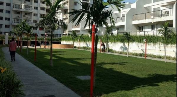 Theme Park meadows-hill-mist Theme Park