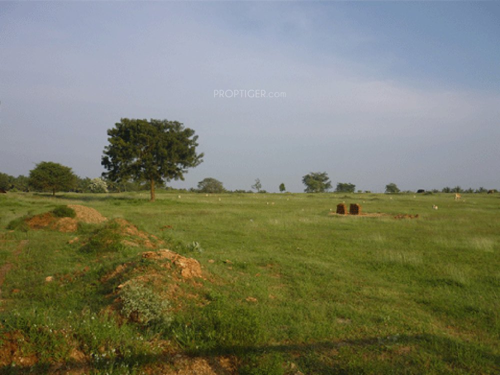 Images for Main Other of Fairyland Irene County