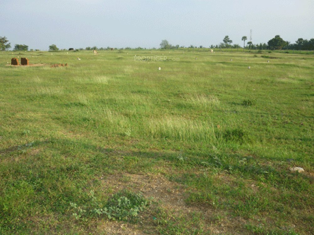 Images for Main Other of Fairyland Irene County