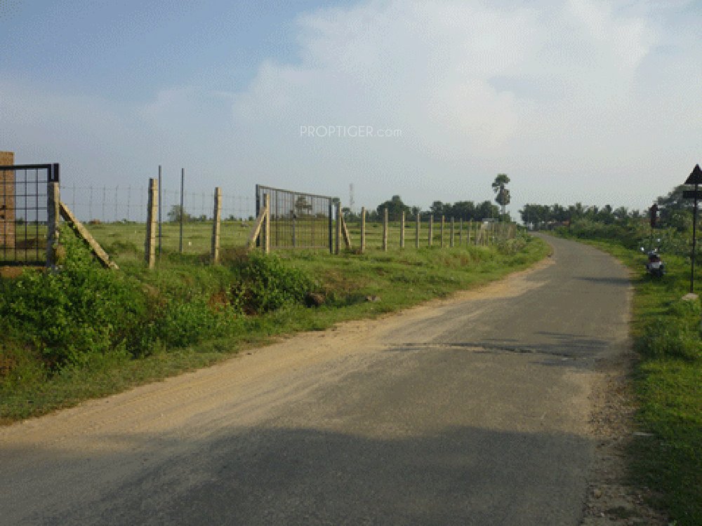 Images for Main Other of Fairyland Irene County