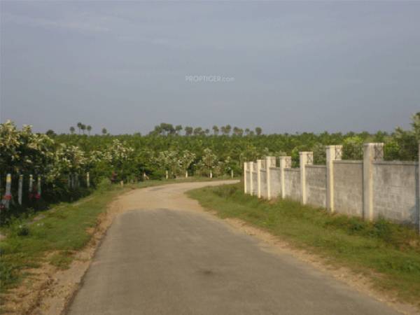 Images for Main Other of Fairyland Irene County