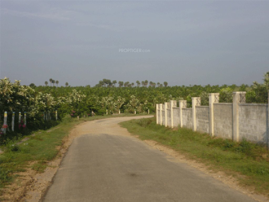 Images for Main Other of Fairyland Irene County