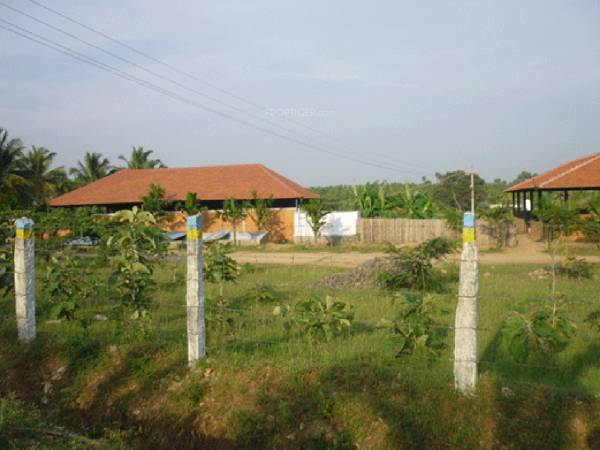 Images for Main Other of Fairyland Irene County