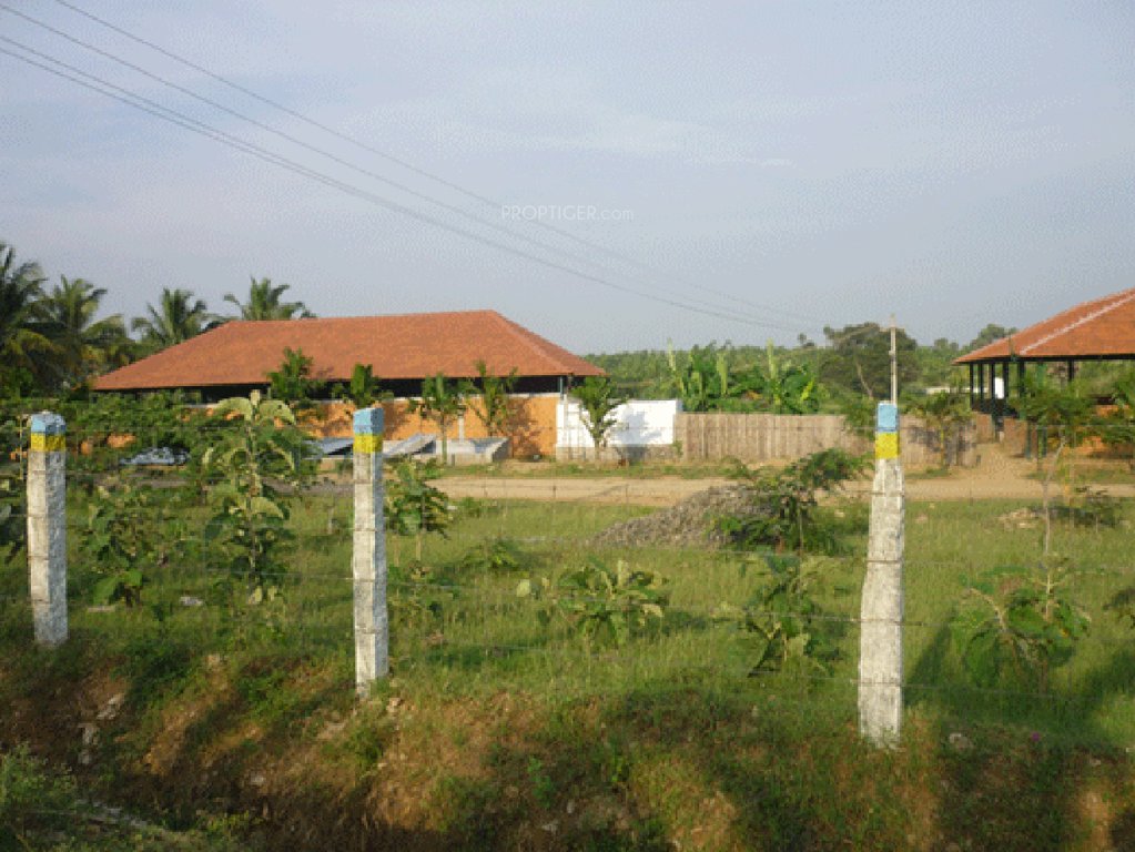 Images for Main Other of Fairyland Irene County