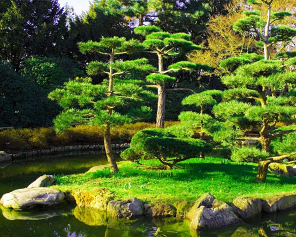  luxor Images for Amenities of Shriram Luxor