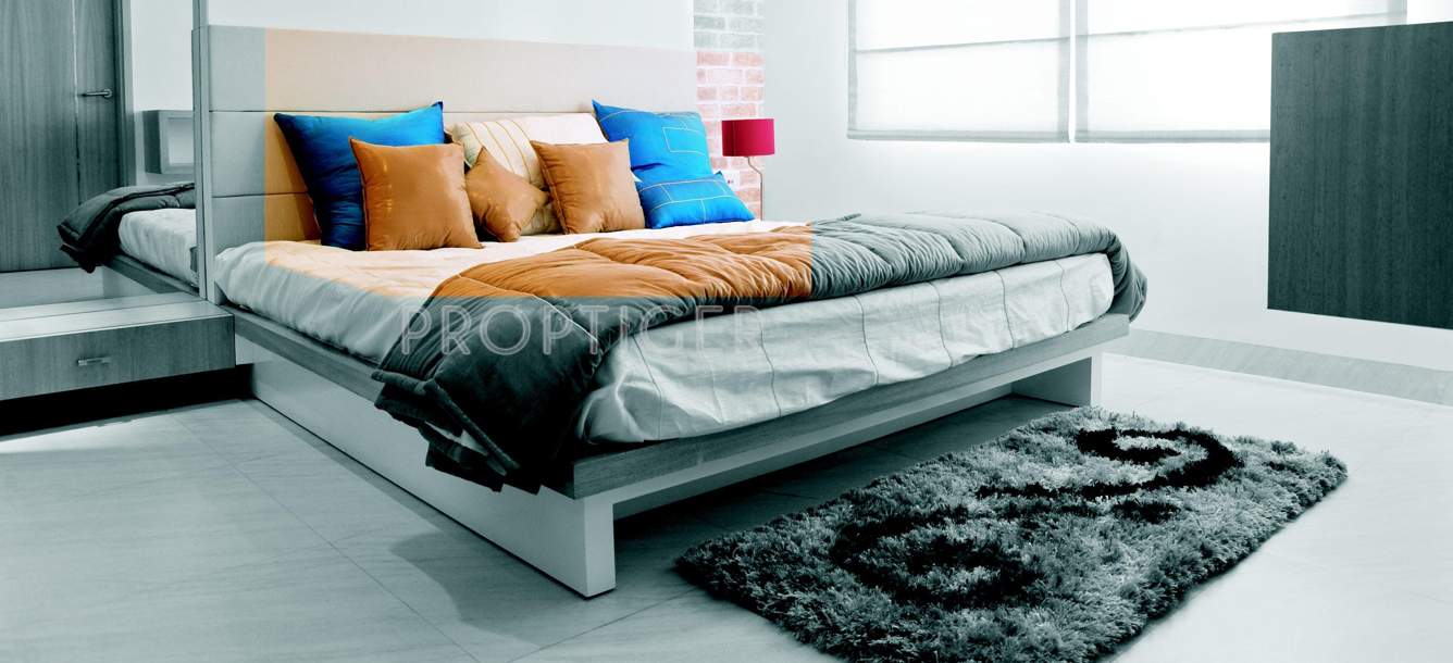 apollo creations pvt. ltd. prakriti enclave Main Other