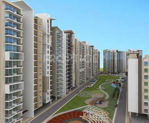  ocean-park Images for Elevation of Man Ocean Park