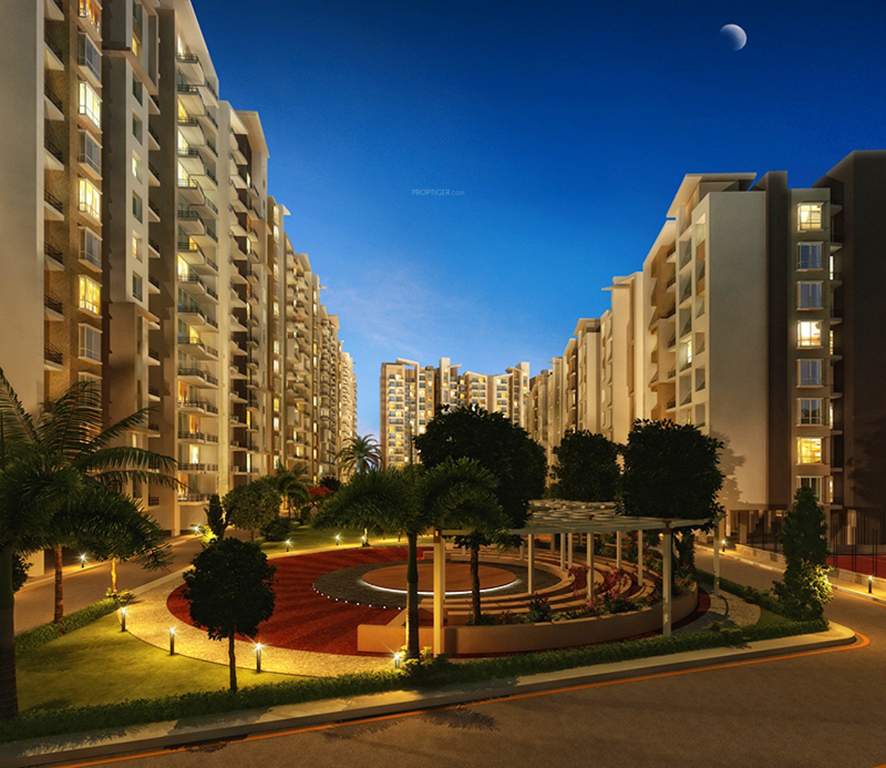  ocean park Images for Elevation of Man Ocean Park