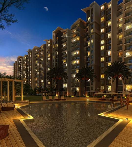  ocean-park Swimming Pool