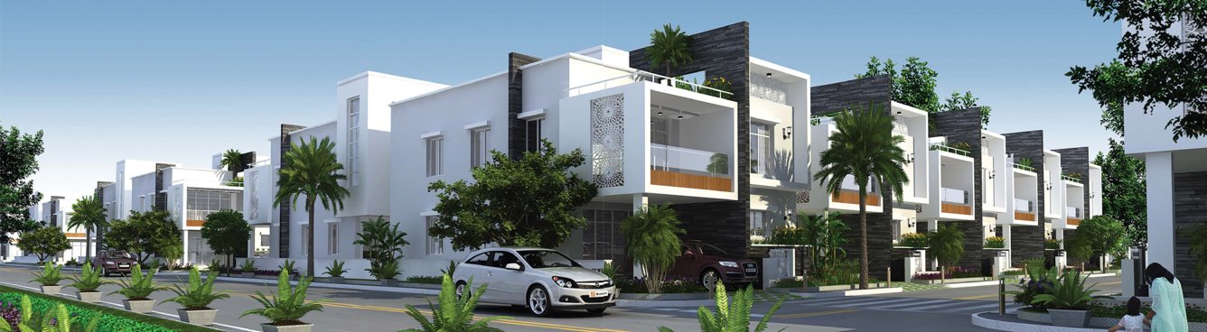 Images for Elevation of Mega The Perch