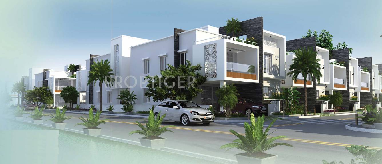 Images for Elevation of Mega The Perch