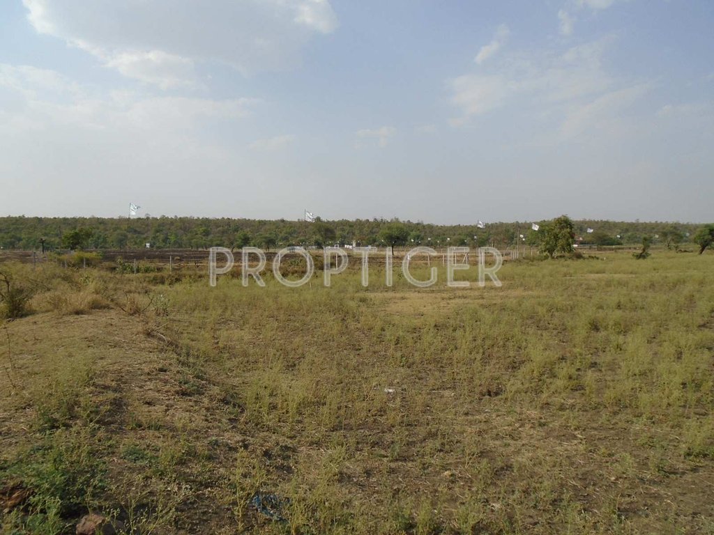 fortune builders golden panorama Main Other