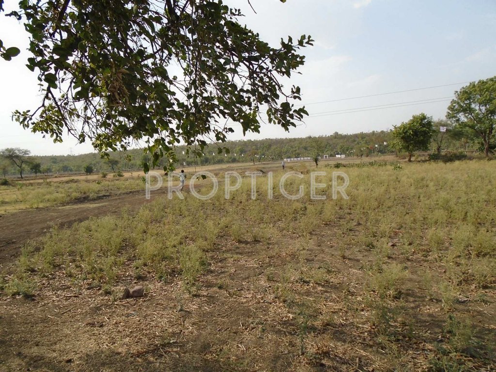 fortune builders golden panorama Main Other