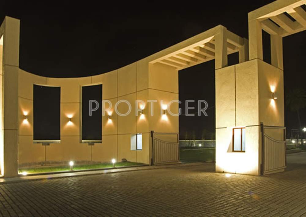 apollo creations pvt. ltd. n r estate Main Other