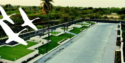 apollo-creations-pvt.-ltd. n-r-estate Main Other