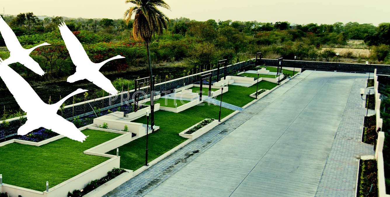 apollo creations pvt. ltd. n r estate Main Other