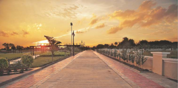  golf-links Elevation