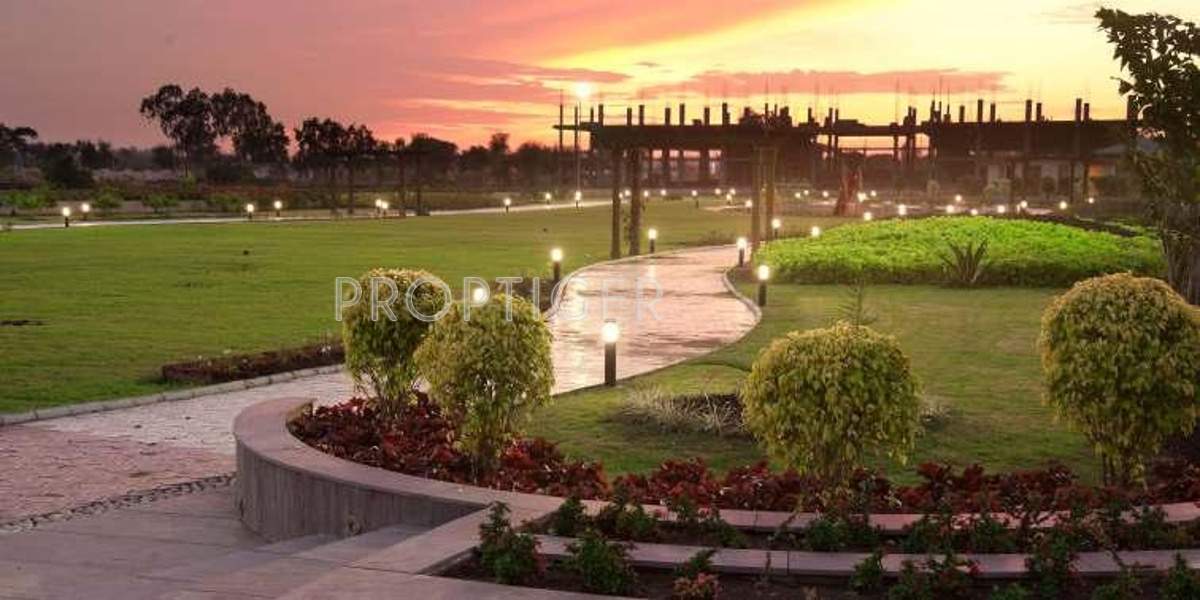  golf links Images for Amenities of Apollo Golf Links