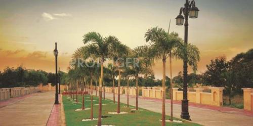  golf-links Images for Main Other of Apollo Golf Links