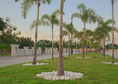  golf-links Images for Main Other of Apollo Golf Links