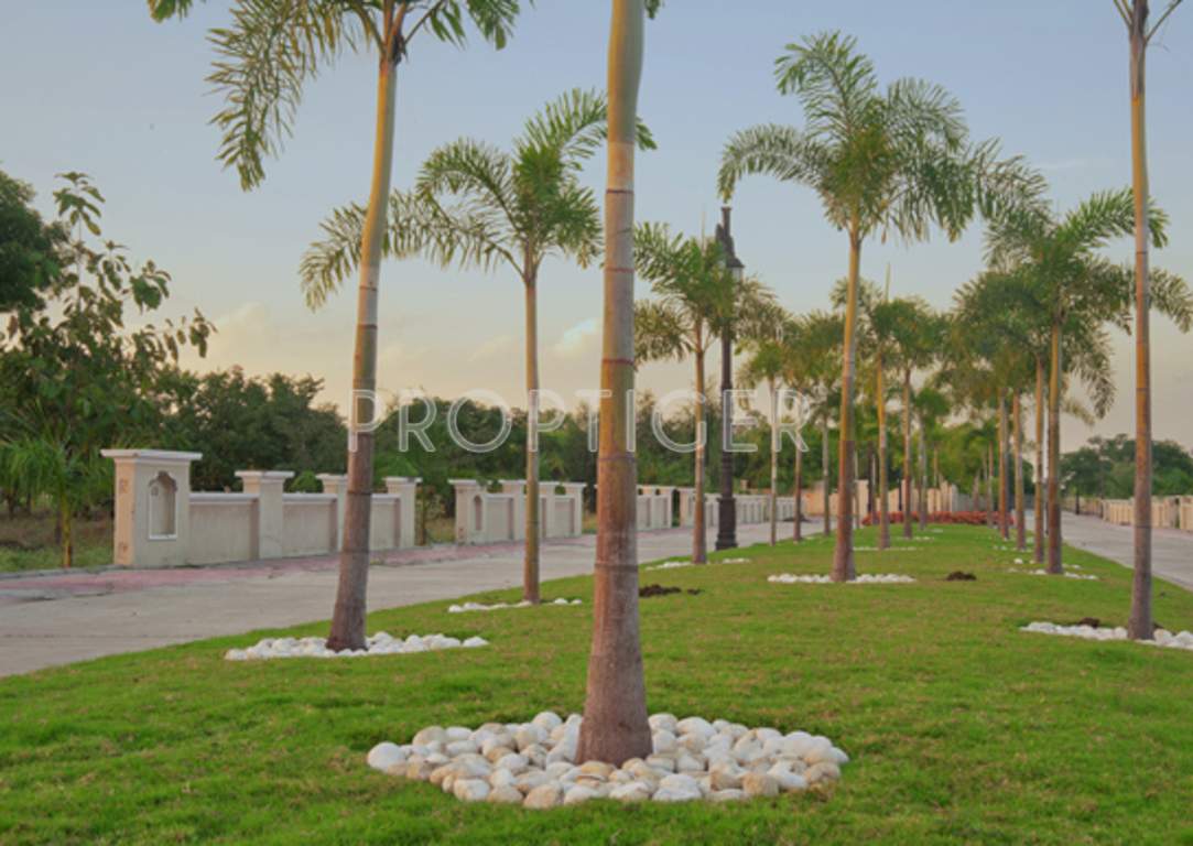  golf links Images for Main Other of Apollo Golf Links