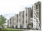 Images for Elevation of Joy Royal Greens 2 Images for Elevation of Joy Royal Greens 2