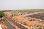 Surya Meadows
