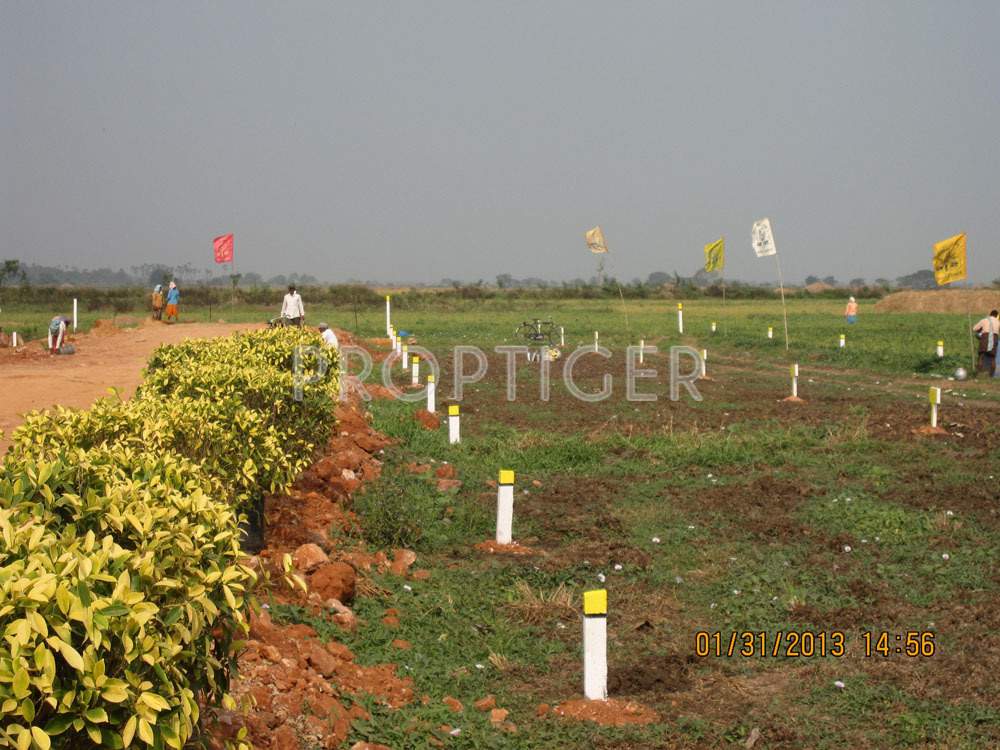 sir vijayasai housing amd estate leela gardens Main Other