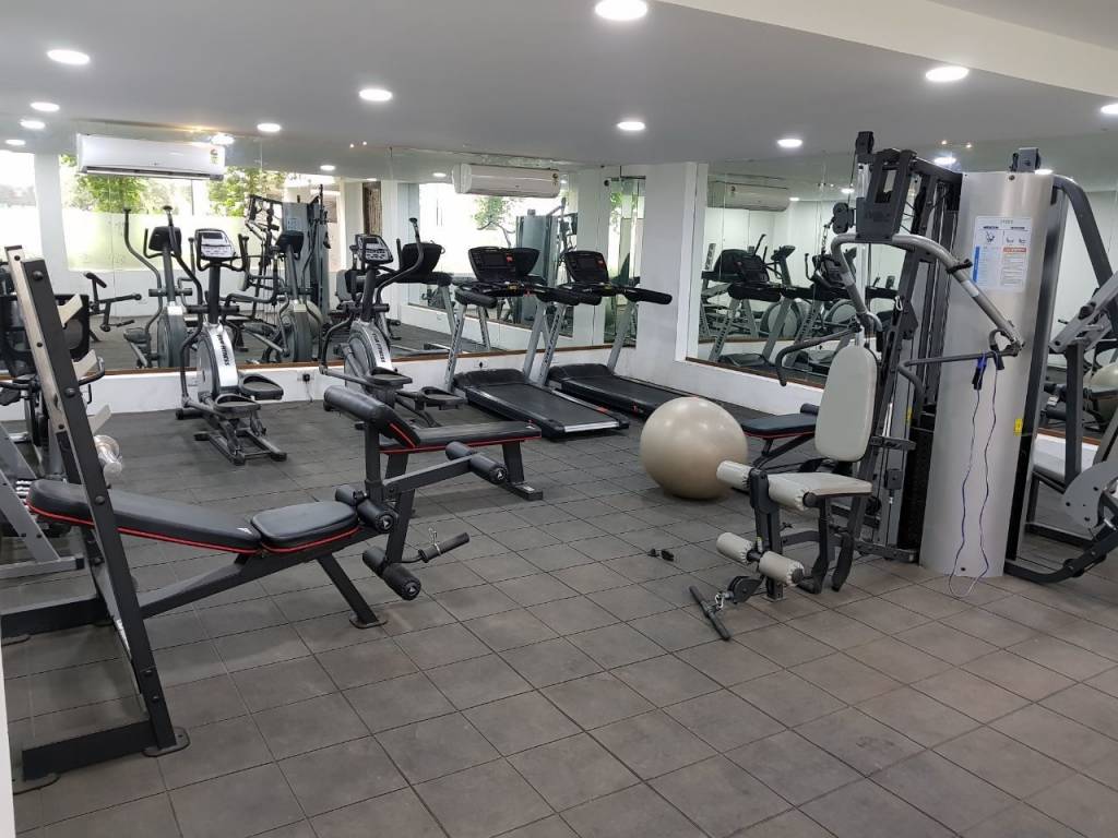 mount kailash and manasarovar Others