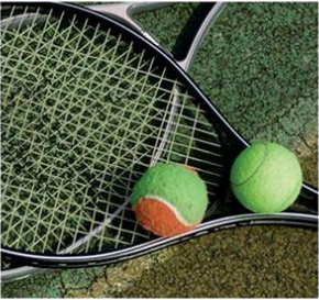  paras-heights Others