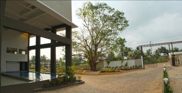  classique-pearl Swimming Pool