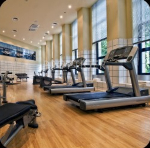 Gymnasium constellation Gymnasium