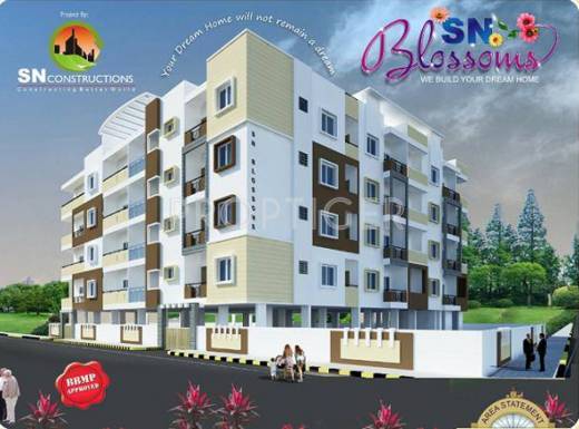 Images for Elevation of SN Blossoms Images for Elevation of SN Blossoms