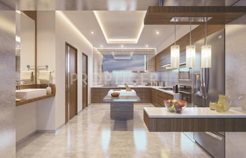 Images for Main Other of Addor 14 Crowns 14-crowns Images for Main Other of Addor 14 Crowns