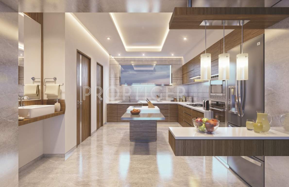  14 crowns Images for Main Other of Addor 14 Crowns