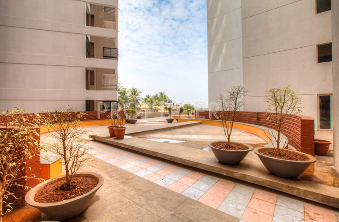 Images for Main Other of Mahabaleshwara Classique Sapphire