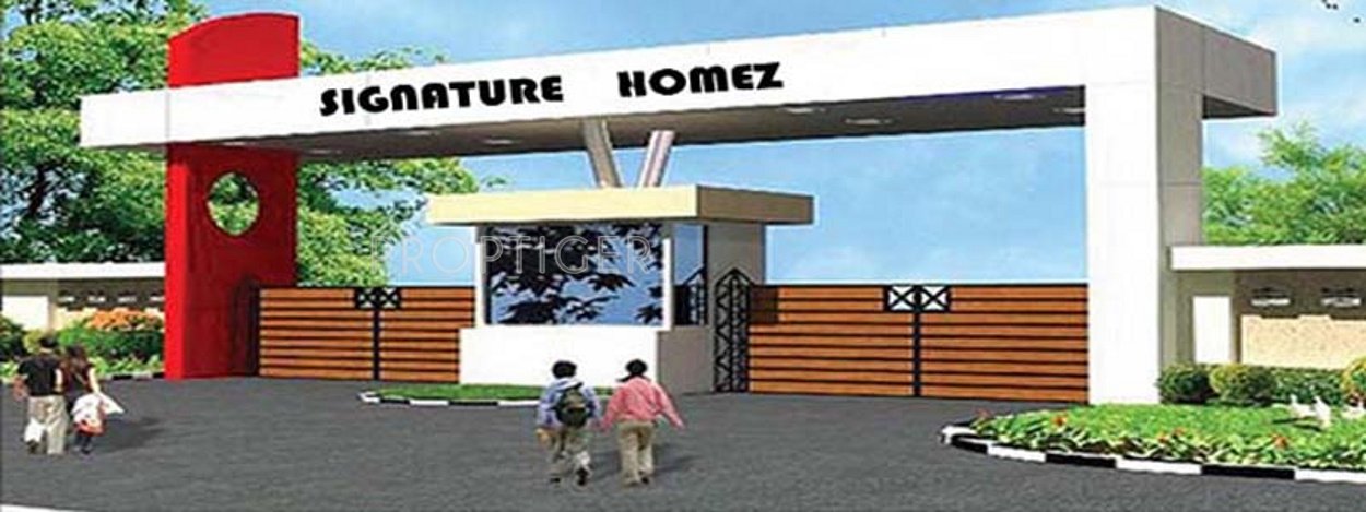 signature homez Main Other