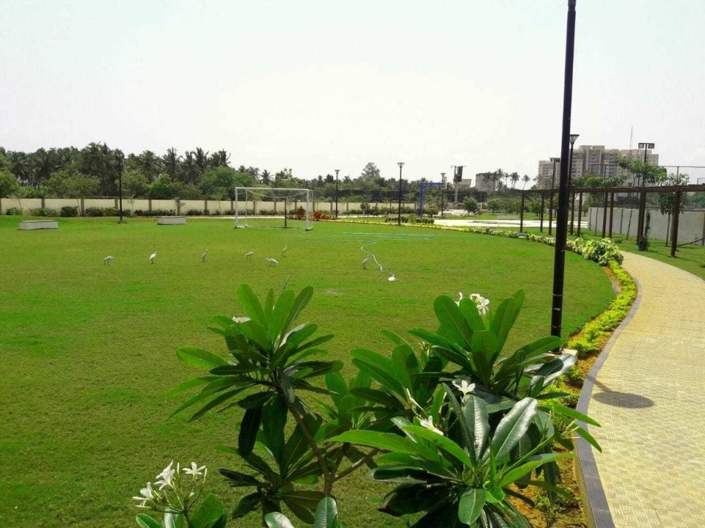 Images for amenities